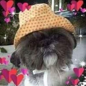 Meet your Posher, Leeanne